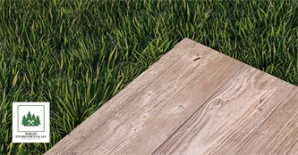 Why Plywood Will Not Protect Your Grass Why Plywood Will Not Protect Your Grass