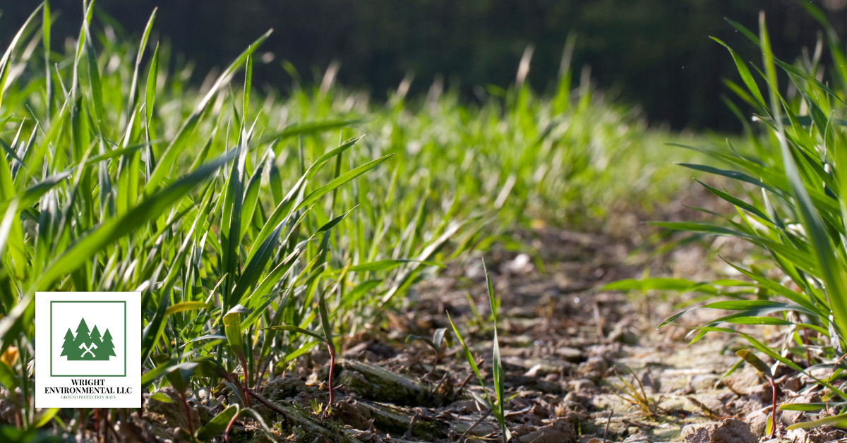 Do Protective Grass Mats Stop Mud?