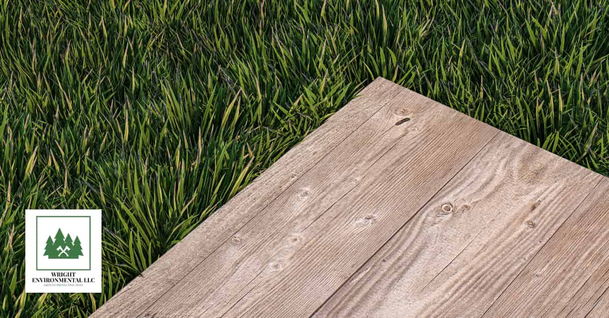 Why Plywood Will Not Protect Your Grass